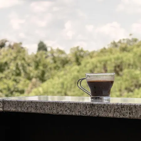 Terrazza Teodorico Διαμέρισμα *