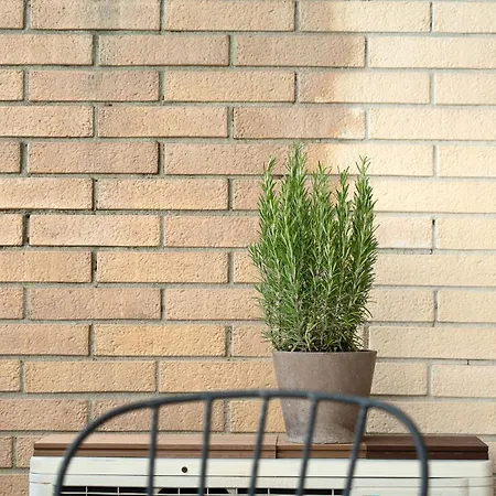 Terrazza Teodorico